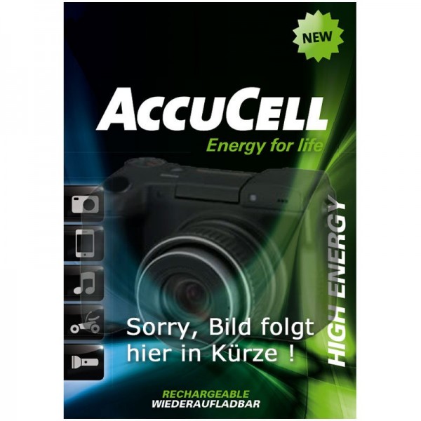 AccuCell batterie adaptéee pour ALCATEL One Touch 890, 890D, 891, 979