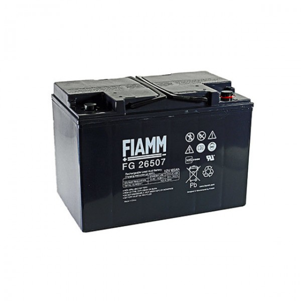 Fiamm FG26507 Batterie au plomb avec connexion à vis M6 12V, 65000mAh