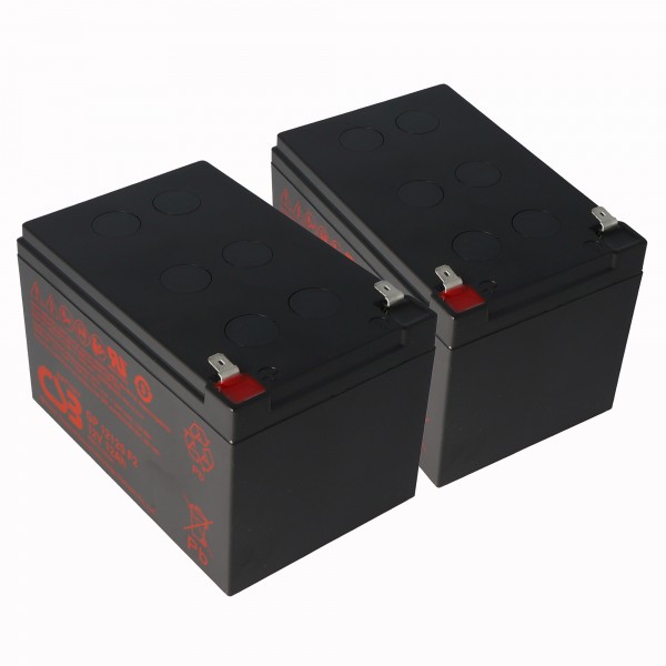 2 pièces batterie de rechange pour APC RBC6 pour APC Smart UPS 700, 1000, 1500 et Back UPS Pro 1000 (Dimensions (LxLxH): 151x98x94mm, Poids: 3900 grammes (3.9 Kg)