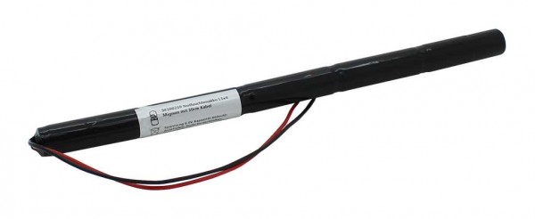 Batterie d'éclairage de secours NiCd 6.0V 860mAh L1x5 Mignon AA avec câble 200mm d'un côté remplace Beghelli 415.224.001, 415224001