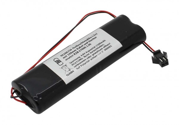 Batterie éclairage de secours NiMH 4.8V 1500mAh L2x2 avec câble et fiche remplace RZB 67000.1.06